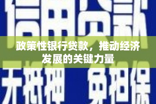 振兴政策性银行贷款，推动经济发展的关键力量