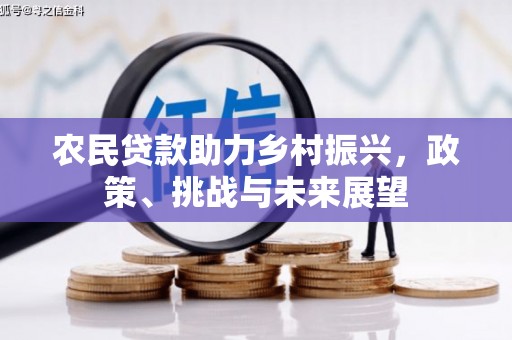 振兴农民贷款助力乡村振兴，政策、挑战与未来展望