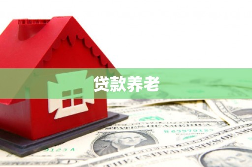 振兴贷款养老