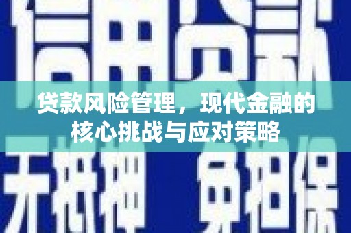 振兴贷款风险管理，现代金融的核心挑战与应对策略