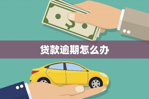 振兴贷款逾期怎么办