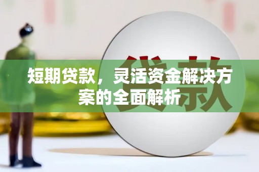 振兴短期贷款，灵活资金解决方案的全面解析