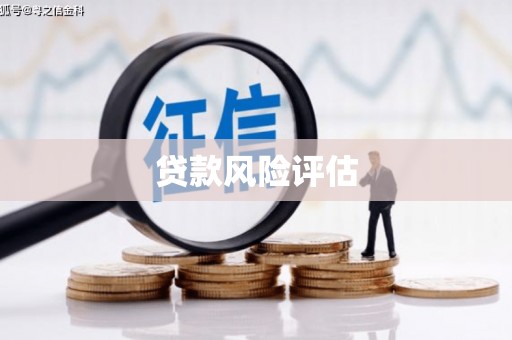 振兴贷款风险评估