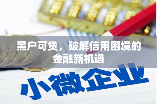 振兴黑户可贷，破解信用困境的金融新机遇