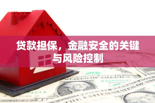 振兴贷款担保，金融安全的关键与风险控制
