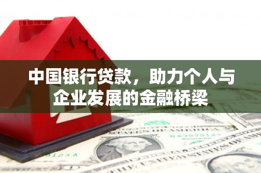 振兴中国银行贷款，助力个人与企业发展的金融桥梁