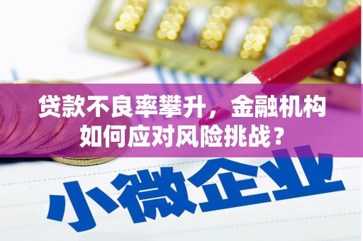 振兴贷款不良率攀升，金融机构如何应对风险挑战？