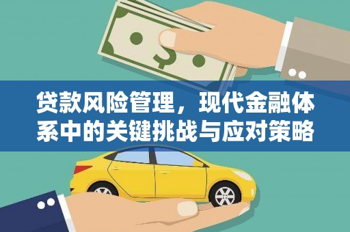 振兴贷款风险管理，现代金融体系中的关键挑战与应对策略