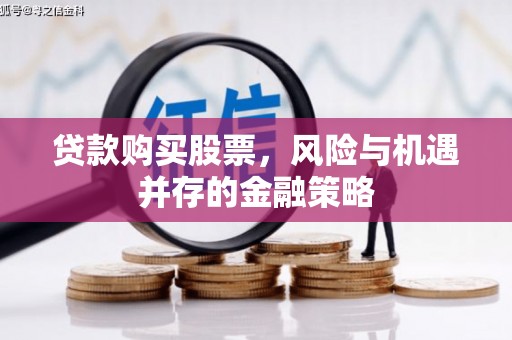 振兴贷款购买股票，风险与机遇并存的金融策略