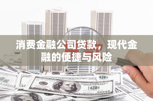 振兴消费金融公司贷款，现代金融的便捷与风险