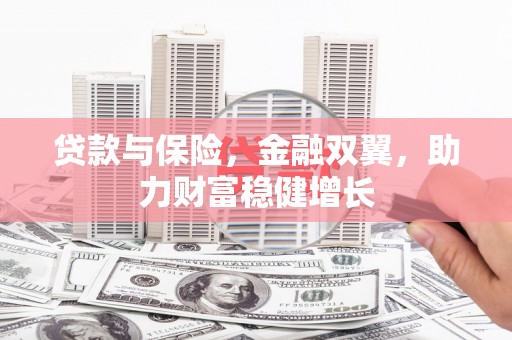 振兴贷款与保险，金融双翼，助力财富稳健增长