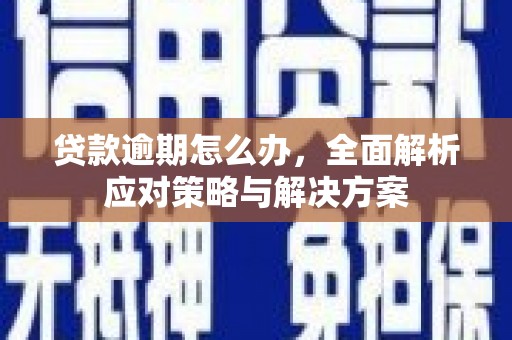 振兴贷款逾期怎么办，全面解析应对策略与解决方案