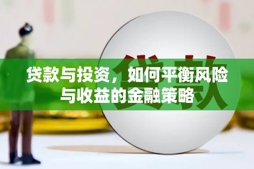 振兴贷款与投资，如何平衡风险与收益的金融策略