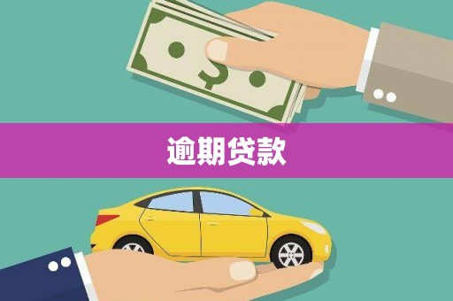 振兴逾期贷款