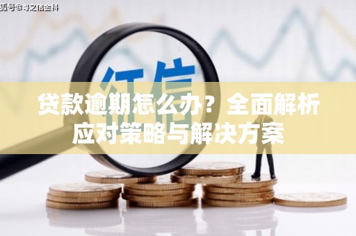 振兴贷款逾期怎么办？全面解析应对策略与解决方案