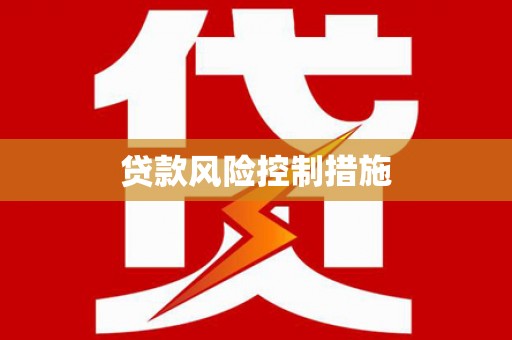 振兴贷款风险控制措施