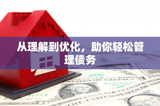 振兴从理解到优化，助你轻松管理债务
