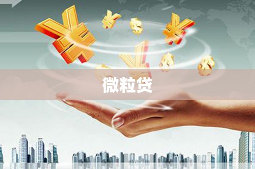 振兴微粒贷