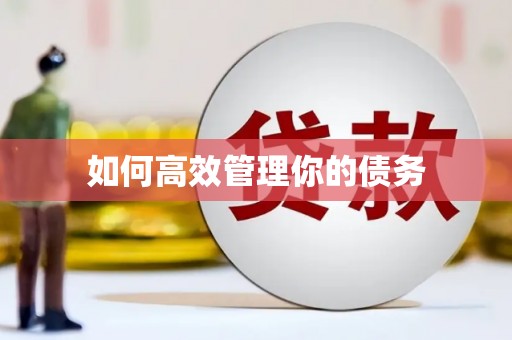 振兴如何高效管理你的债务