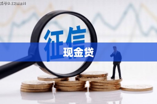 振兴现金贷